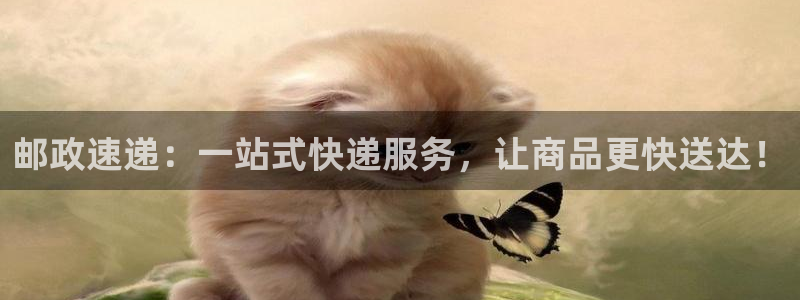 多多28是干嘛的：邮政速递：一站式快