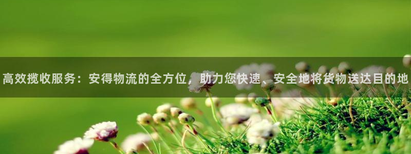 多多28电子