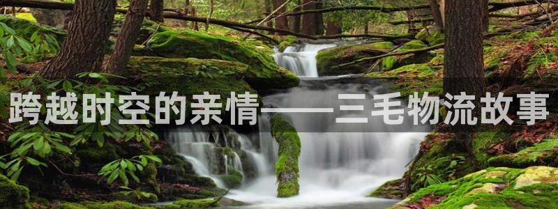多多28注册二维码：跨越时空的亲情—