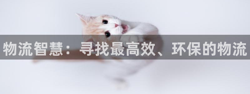 多多28女王中奖记录查询