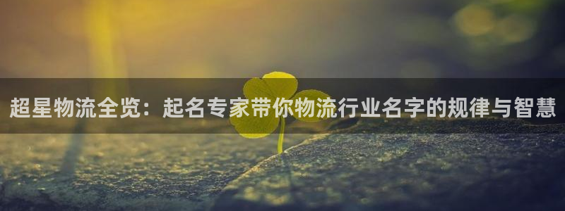 多多28注册流程：超星物流全览：起名专家带你物流行业名字的规