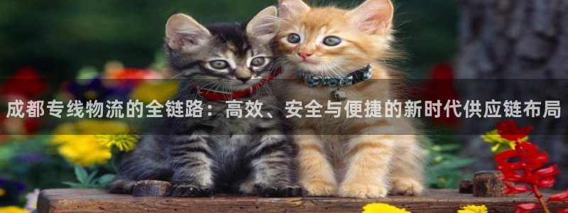 多多28加拿大6.0