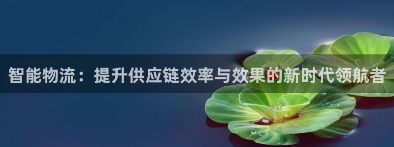 多多28游戏最新版：智能物流：提升供