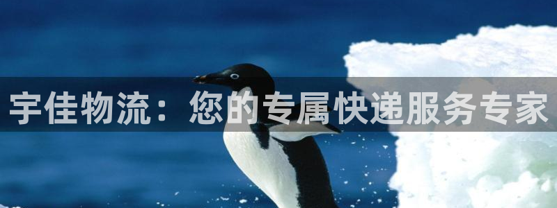 多多28赌博软件正规吗