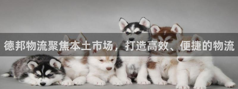 多多28在线预测