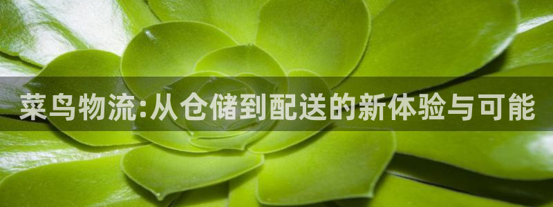 多多28充值不处理：菜鸟物流:从仓储
