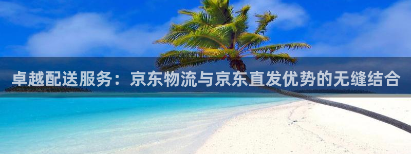 多多28比特28真实吗：卓越配送服务