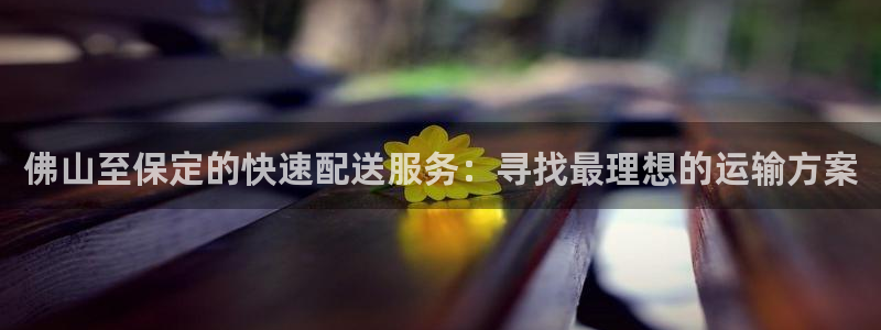 多多28官网平台：佛山至保定的快速配
