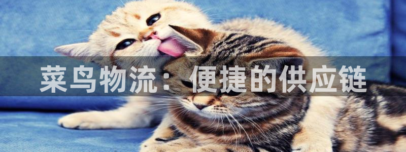 多多28黑吗：菜鸟物流：便捷的供应链