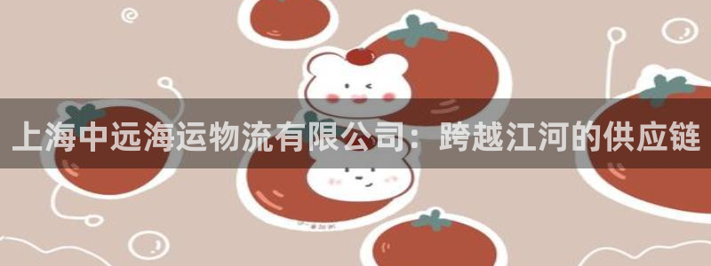 多多28能退款吗：上海中远海运物流有限公司：跨越江河的供应链