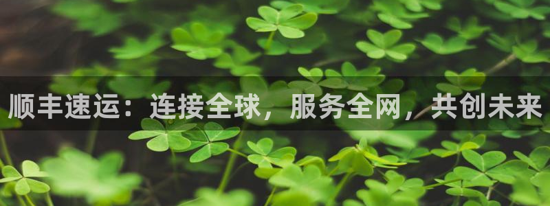 多多28加拿大走势：顺丰速运：连接全球，服务全网，共创未来