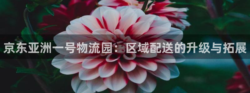 多多28官网下载：京东亚洲一号物流园