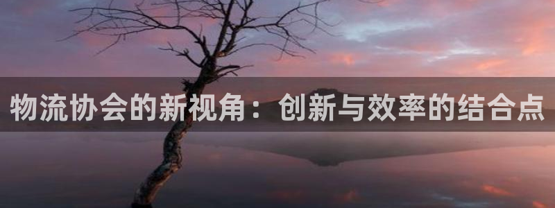 多多28注册链接：物流协会的新视角：
