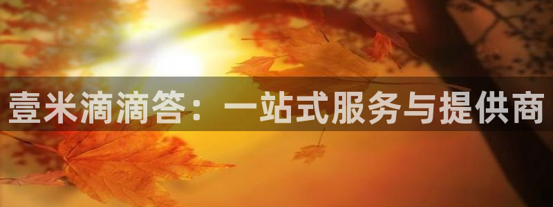 加拿大多多28是什么：壹米滴滴答：一