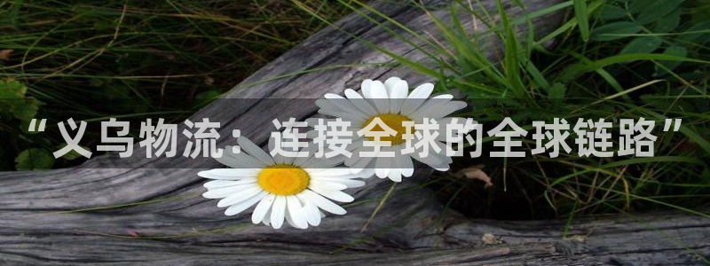 多多28网站平台是多少：“义乌物流：