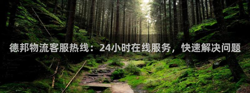 多多28官网平台：德邦物流客服热线：24小时在线服务，快速解