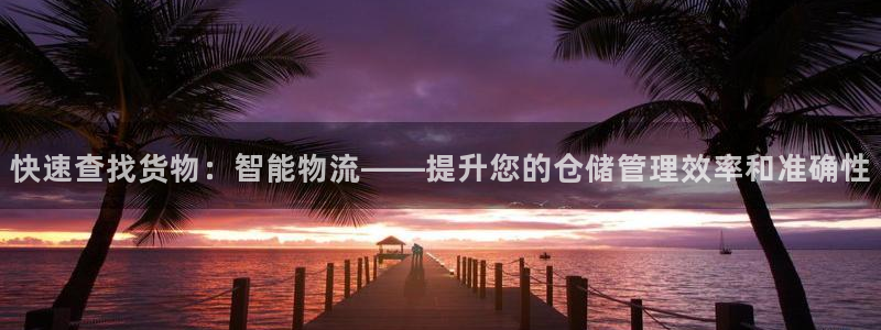 多多28模拟器在线使用：快速查找货物：智能物流——提升您的仓
