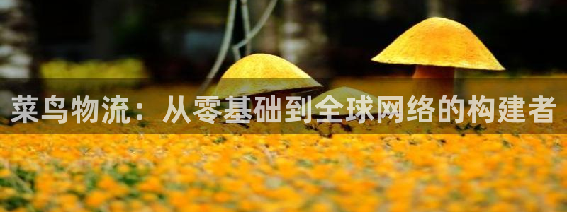 多多28辅助：菜鸟物流：从零基础到全