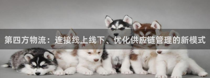 多多28系统自动保护：第四方物流：连