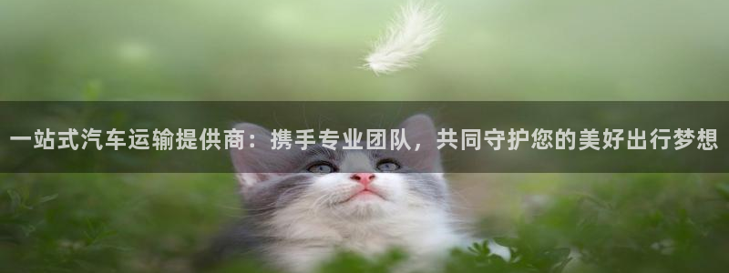 多多28官网入口pc是诈骗吗?