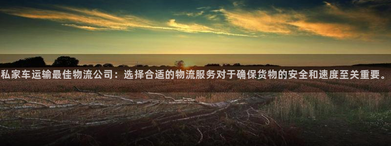 多多28官网入口：私家车运输最佳物流公司：选择合适的物流服务