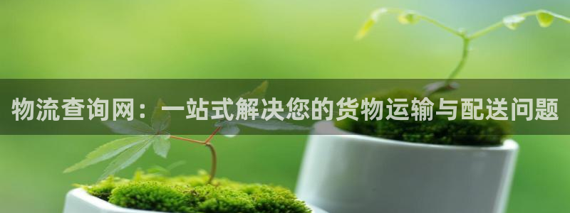 多多28犯法吗：物流查询网：一站式解