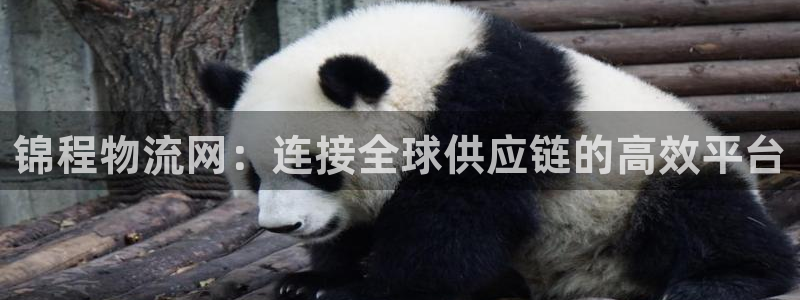 多多28辅助:锦程物流网:连接全球供